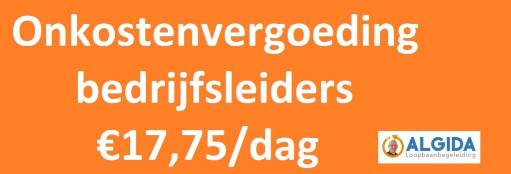 onkostenvergoeding binnenlandse dienstreizen