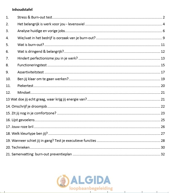 burnooutpreventiepaln inhoudstafel