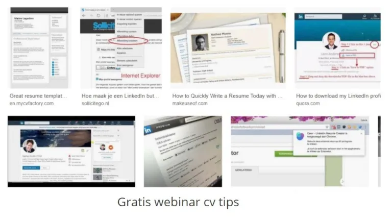 webinar cv voorbeeld